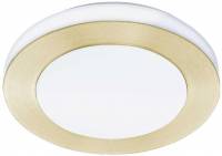 Потолочный светильник Led Carpi 900369