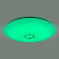 Потолочный светильник Старлайт Смарт CL703A141G