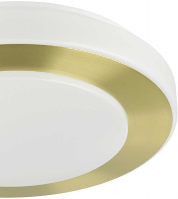 Потолочный светильник Led Carpi 900369
