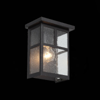 Настенный светильник уличный Glazgo SL079.401.01