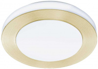 Потолочный светильник Led Carpi 900369