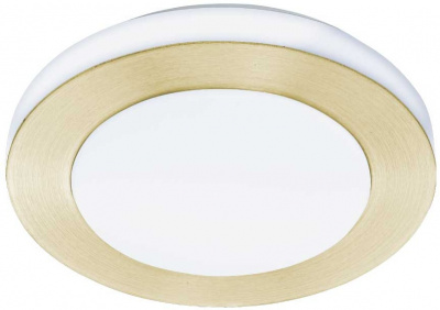 Потолочный светильник Led Carpi 900369